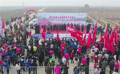 西華縣第十五屆桃花節(jié)盛大開幕 2500人馬拉松開跑點燃春日激情