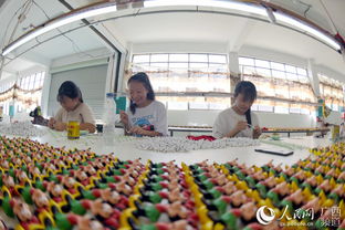 廣西三江 就業安置助脫貧，搬家服務暖心行